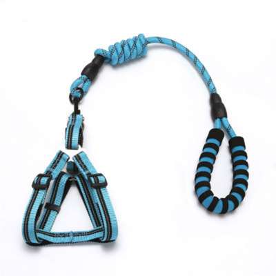 FANGJUU Personalized Dog Leash Retractable Slave Training Collar