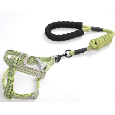 Fangjuu Wholesale chain foam handle dog leash suit dog chest collar with leash