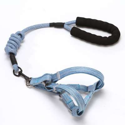 Fangjuu wholesale textile printing puppy dog leash Teddy Poodle dog leash harness set