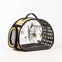 New Fashion Product Cartoon Pet Bag Dog Breathable Bag Foldable Transparent and Comfortable Pet outwear Cat Cage Wholesale